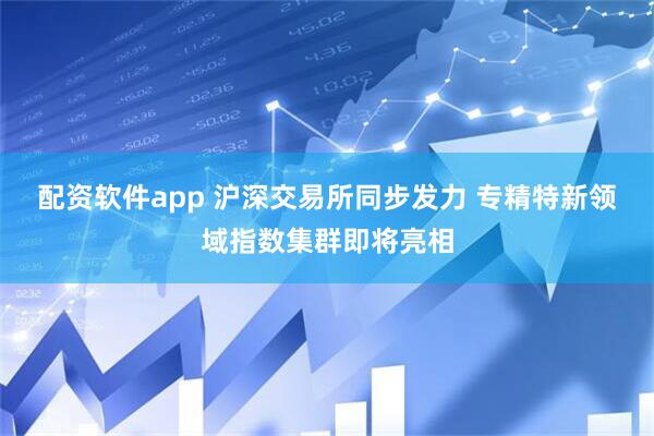 配资软件app 沪深交易所同步发力 专精特新领域指数集群即将亮相