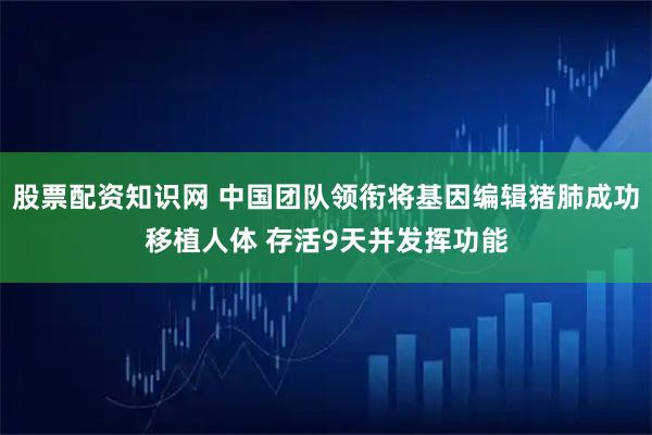 股票配资知识网 中国团队领衔将基因编辑猪肺成功移植人体 存活9天并发挥功能